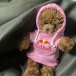 دبدبوب وردي